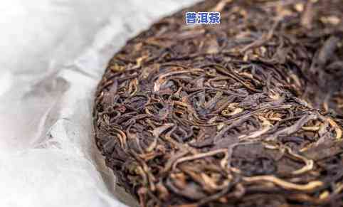 普洱茶基地视频介绍：探索神秘的茶叶种植园