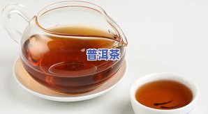 “糯米香普洱茶味道如何？好喝吗？”