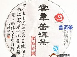 探究冰岛普洱茶口感：特点、好喝程度全解析