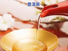 茶叶喝之前要冲洗吗？视频教你正确方法