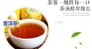 吉林柑皮普洱茶：推荐与价格介绍