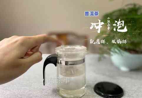 玻璃杯冲泡茶叶：流程、优点与特点全解析