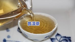 军旅普洱茶-军供普洱茶