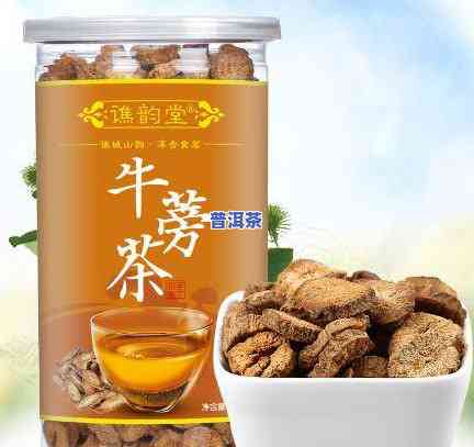 茶牛蒡茶：功效全面解析与牛蒡根的区别