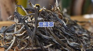 无锡古树普洱茶批发价多少钱？查询最新价格与市场行情