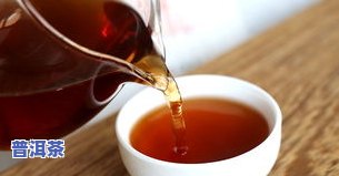 大器茶叶属于什么茶类？探讨其茶类、类型归属