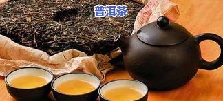 怎么样冲泡普洱茶更好喝-怎么样冲泡普洱茶更好喝呢