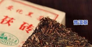 陕西普洱茶十大名牌：最新排行榜与知名推荐