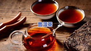 普洱茶怎样转化为茶叶：从蛋白质到香味的过程解析