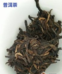 普洱茶东半山：生茶特性与与西半山比较