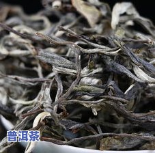 普洱茶单株纯料混采：安全无？单株与混采有何区别？