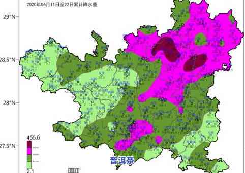 云县普洱茶：分布、特点与品全介绍