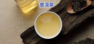 好听的普洱茶公司名字大全：精选40个优质名称及参考图片