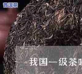 普洱茶压底-普洱茶压紧好还是压松好