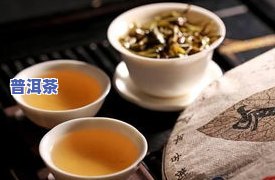 沈阳普洱茶种类详细介绍及推荐