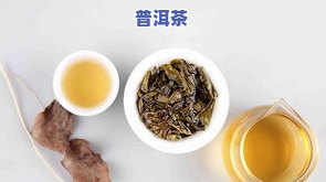 沈阳普洱茶种类详细介绍及推荐