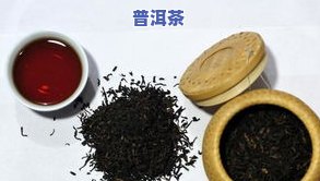 普洱茶有哪些常见茶型？从生、熟、微发酵到全发酵，详解各类茶的特点与冲泡方法。