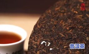 普洱茶有哪些常见茶型？从生、熟、微发酵到全发酵，详解各类茶的特点与冲泡方法。