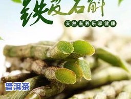 茶叶渣能种石斛吗？答案在这里！包括视频、图片和安全问题解析