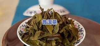 普洱茶种类介绍大全：作用、图片与详细解析