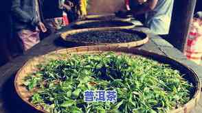 华方苑普洱茶价格查询官网-华方苑普洱茶价格查询官网