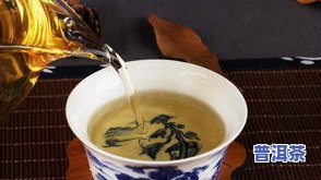 异类普洱茶-普洱茶茶型