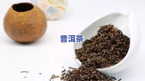 广东陈皮普洱茶批发价格表-广东陈皮普洱茶批发价格表最新