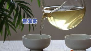 普洱茶的耐泡程度：由哪些因素决定？