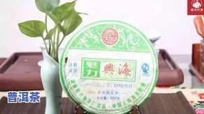 天允普洱茶：2008生茶400克与2001年古树熟茶的价格对比及口感评价