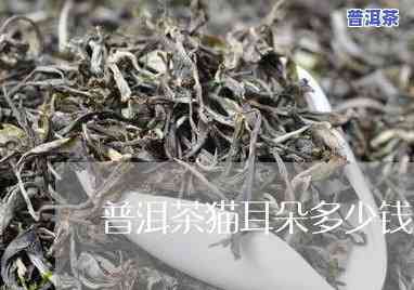 天允普洱茶：2008生茶400克与2001年古树熟茶的价格对比及口感评价