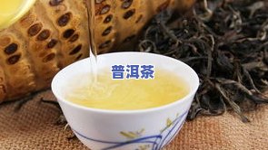 天允普洱茶：2008生茶400克与2001年古树熟茶的价格对比及口感评价