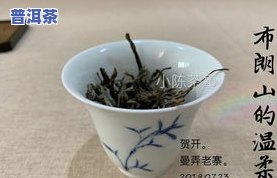 普洱茶耐泡是什么意思-普洱茶耐泡是什么意思啊