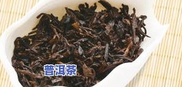 天峨普洱茶-天允普洱茶