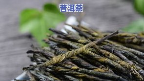 全面解析：茶叶树根的主治功能与作用、图片及相关禁忌