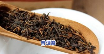 普洱茶不用滤网-普洱茶不用滤网可以喝吗