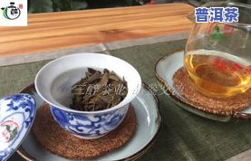 大益普洱茶专卖店，品味优质生活：大益普洱茶专卖店，为您提供最纯正的普洱茶体验！