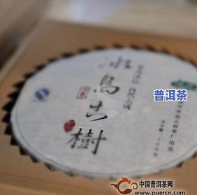 冰岛普洱茶多少钱一斤论坛：价格一览表与购买建议