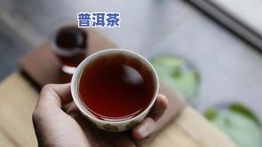 普洱茶霉菌超标被退回：如何处理及影响？