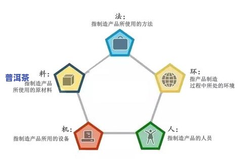 茶叶五大因子指什么？详解茶叶品质的关键因素