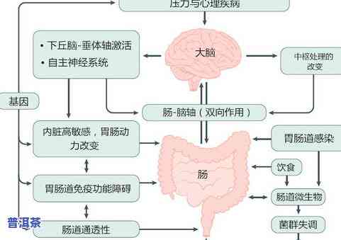 茶叶五大因子指什么？详解茶叶品质的关键因素