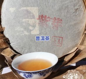 普洱紫芽属于什么茶类？详解其所属茶种与类别