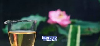 熟普洱茶是不是需要洗茶？详细解析及其正确方法