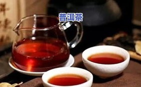 普洱有机茶有哪些牌子？了解顶级有机普洱茶！