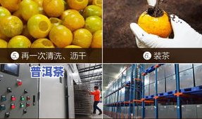 南宁柑皮普洱茶拿货价多少？广西柑皮、熟茶价格及进货地