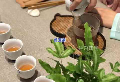 红螺茶是什么类型的茶？探究其类别和品种归属