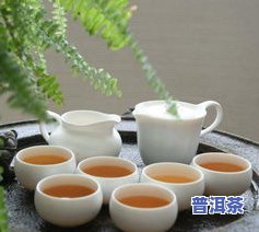 普洱茶俱乐部：汇聚普洱茶爱好者，共享品茗乐趣