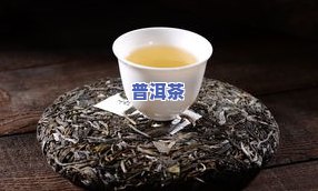 生普洱生茶怎样正确饮用？详细教程在此！