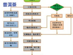 发酵普洱茶的全流程、步骤详解及功效视频