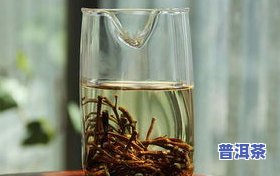 普洱要怎么泡多久？从选茶到冲泡步骤全解析！