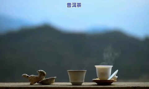 普洱罗东宝：深度解析茶叶制作工艺与品质特性